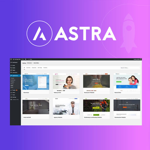 Astra Premium Sites Eklentisi + Ajans Demoları