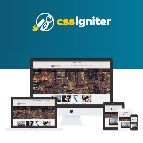CSS Igniter BusinessTwo WordPress Teması