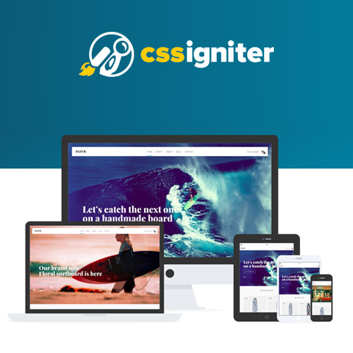 CSS Igniter Flevr WooCommerce Teması