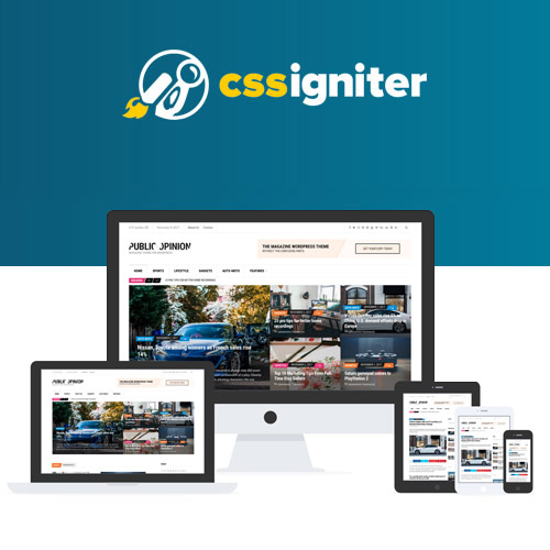 CSS Igniter Kamuoyu WordPress Teması