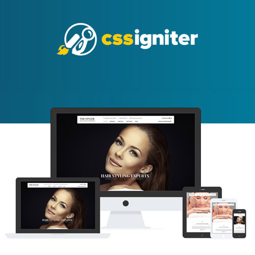 CSS Igniter The Styler WordPress Teması