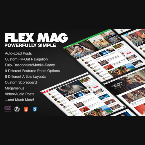 Flex Mag – Duyarlı WordPress Haber Teması