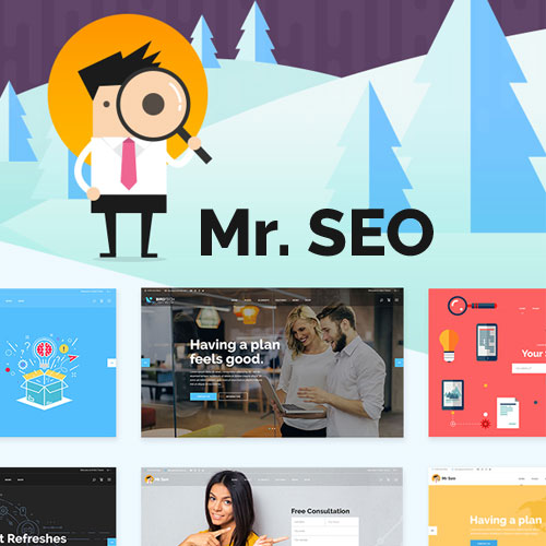 Mr. SEO – SEO, Pazarlama Ajansı ve Sosyal Medya Teması