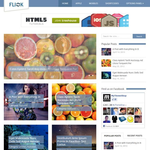 MyThemeShop Flick WordPress Teması