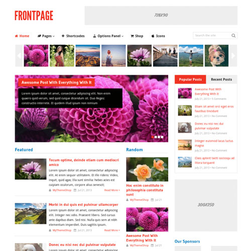 MyThemeShop Önsayfa WordPress Teması