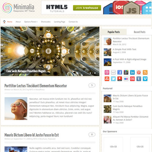 MyThemeShop Minimalia WordPress Teması