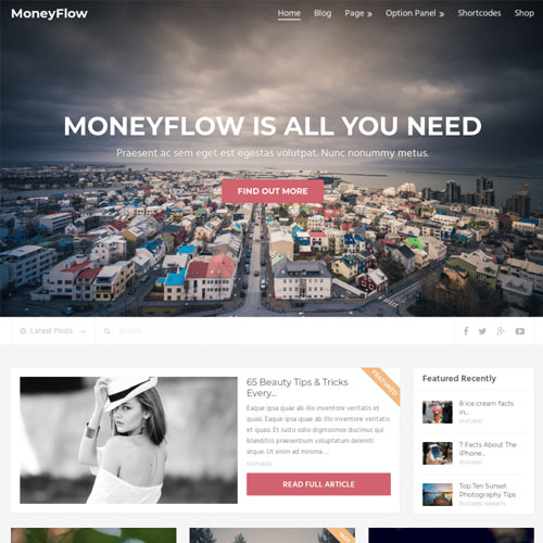 MyThemeShop MoneyFlow WordPress Teması