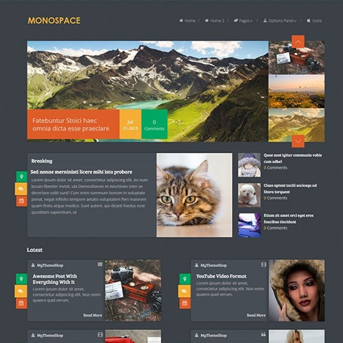 MyThemeShop Monospace WordPress Teması