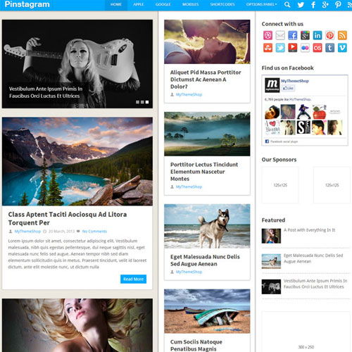 MyThemeShop Pinstagram WordPress Teması
