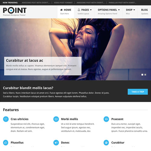 MyThemeShop Point Pro WordPress Teması