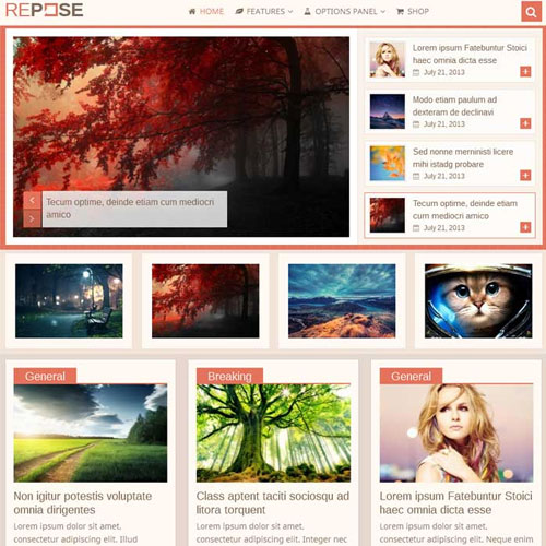 MyThemeShop Repose WordPress Teması