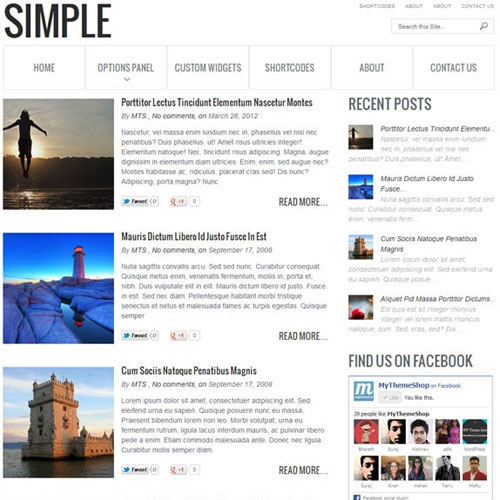 MyThemeShop Basit WordPress Teması