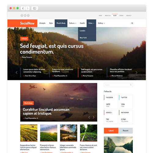 MyThemeShop SocialNow WordPress Teması
