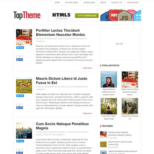 MyThemeShop En İyi WordPress Teması