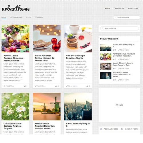 MyThemeShop Kentsel WordPress Teması