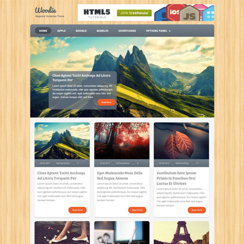 MyThemeShop Woodie WordPress Teması