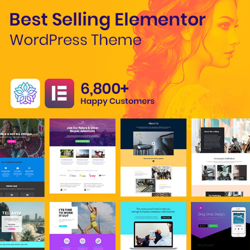 Phlox Pro – Elementor Çok Amaçlı WordPress Teması