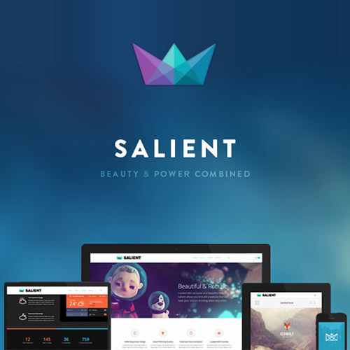 Salient – ​​Duyarlı Çok Amaçlı Tema