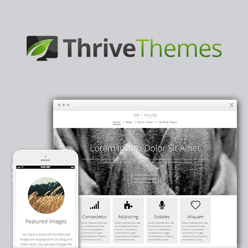 Thrive Temaları Eksi WordPress Teması
