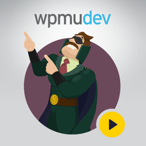 WPMU DEV Koşuşturması