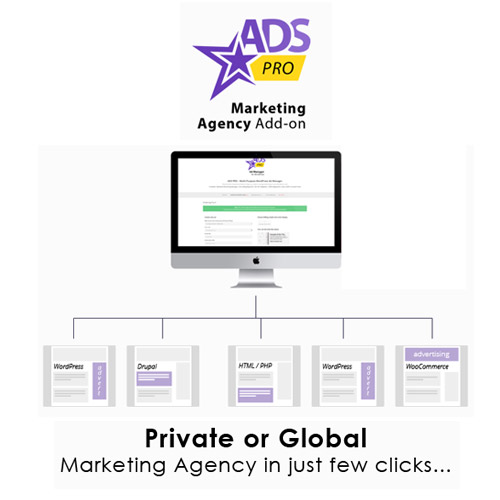 Ads Pro Eklentisi – WordPress Pazarlama Ajansı