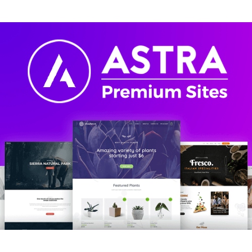 Astra Premium Başlangıç ​​Şablonları