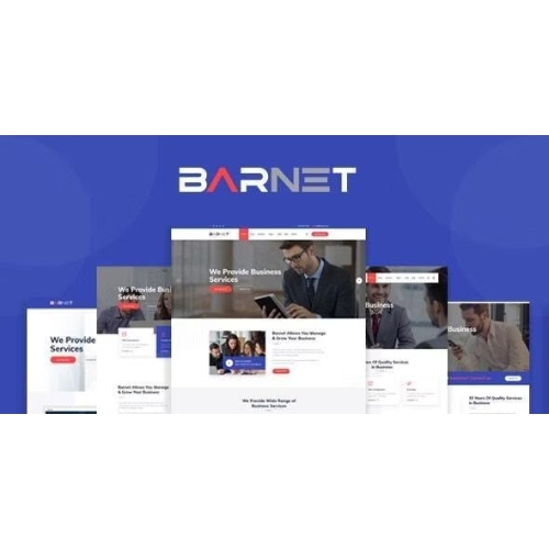 Barnet-İş Danışmanlığı WordPress Teması