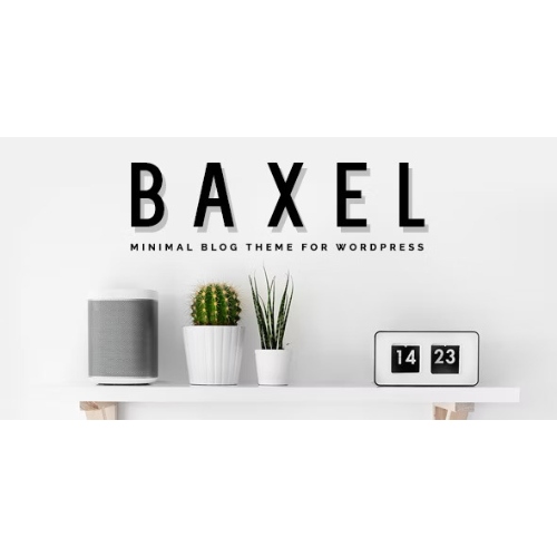 Baxel – WordPress için Minimal Blog Teması