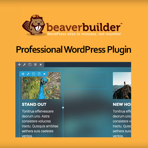 Beaver Builder Profesyonel WordPress Eklentisi