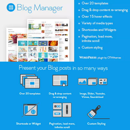 WordPress için Blog Yöneticisi