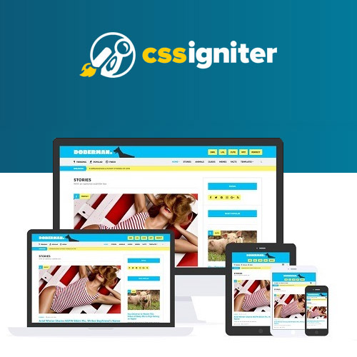 CSS Ateşleyici Doberman WordPress Teması CSS Ateşleyici Doberman WordPress Teması - Görsel 1