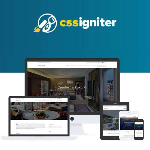 CSS Ateşleyici Moliere WordPress Teması