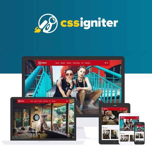 CSS Igniter Pinmaister WordPress Teması