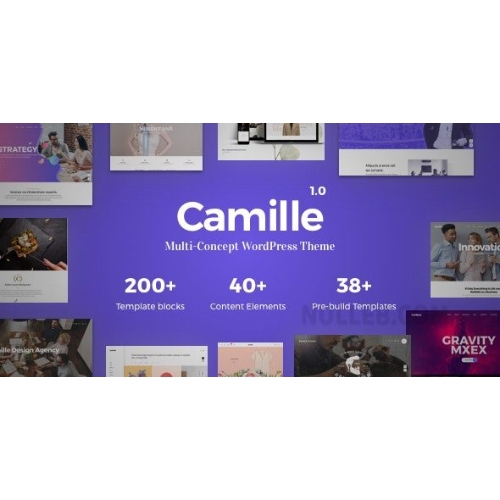 Camille – Çok Konseptli WordPress Teması