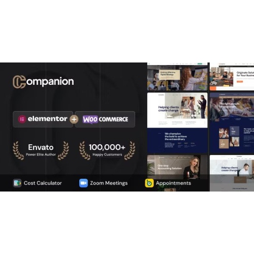 Companion – Kurumsal İşletme WordPress Teması