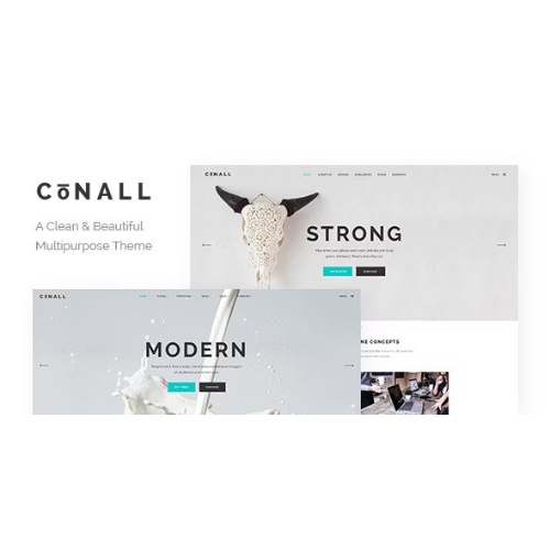 Conall – Temiz Çok Amaçlı Tema