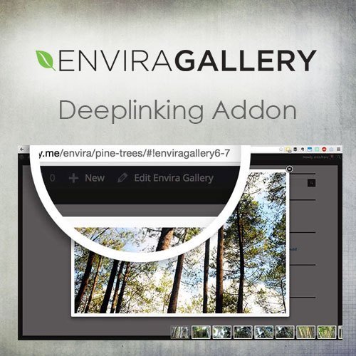 Envira Galerisi – Derin Bağlantı Eklentisi
