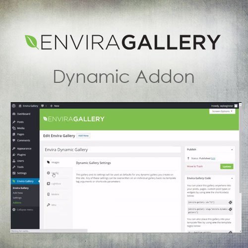 Envira Galeri – Dinamik Eklenti