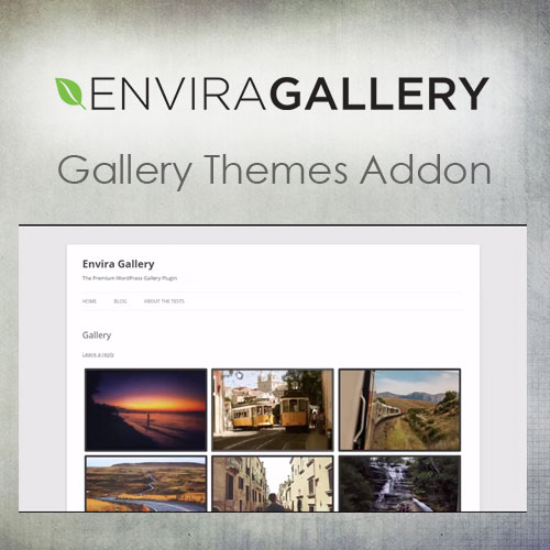 Envira Galeri – Galeri Temaları Eklentisi
