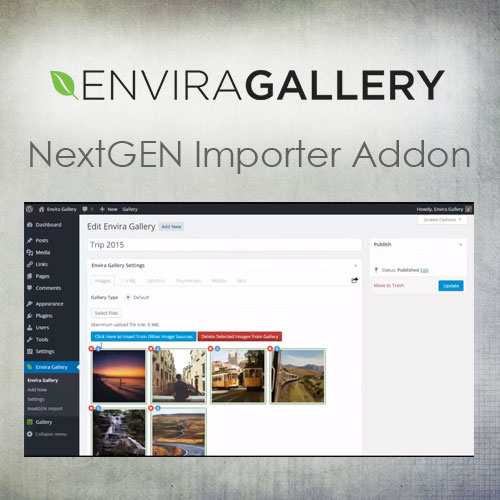 Envira Galeri – NextGEN İthalatçı Eklentisi Envira Galeri – NextGEN İthalatçı Eklentisi - Görsel 1