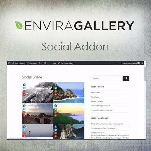 Envira Galeri – Sosyal Eklenti