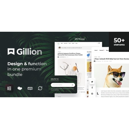 Gillion – Çok Konseptli Dergi, Haber, İnceleme WordPress Teması