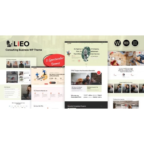 LIEO – Danışmanlık Teması