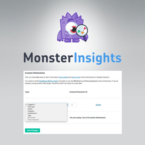 MonsterInsights – Boyutlar Eklentisi