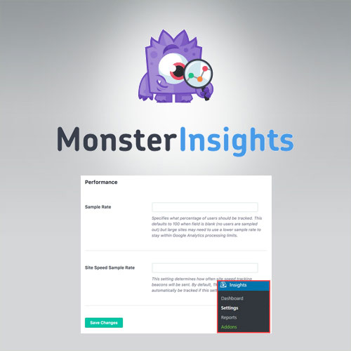 MonsterInsights – Performans Eklentisi