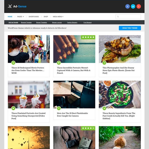 MyThemeShop Ad-Sense WordPress Teması