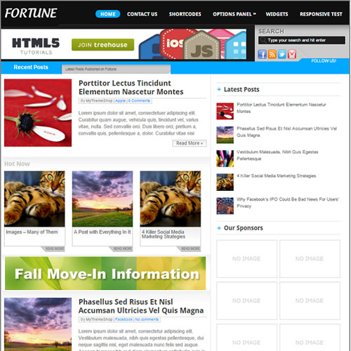 MyThemeShop Fortune WordPress Teması