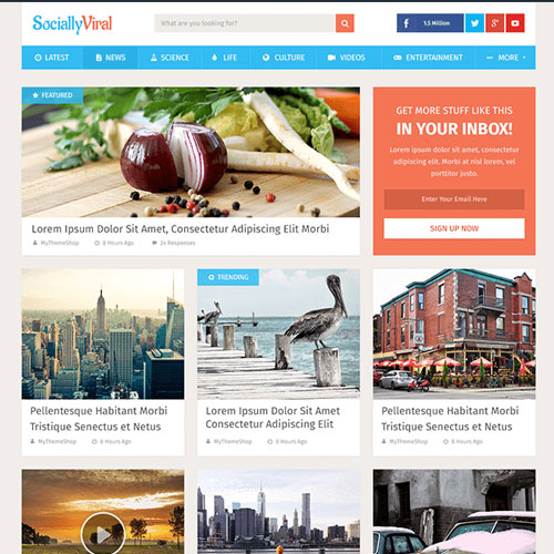 MyThemeShop SociallyViral WordPress Teması