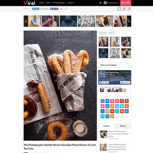 MyThemeShop Viral WordPress Teması MyThemeShop Viral WordPress Teması - Görsel 1