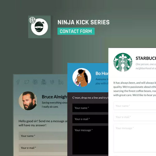 Ninja Kick: İletişim Formu